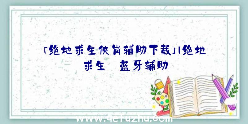 「绝地求生侠岗辅助下载」|绝地求生